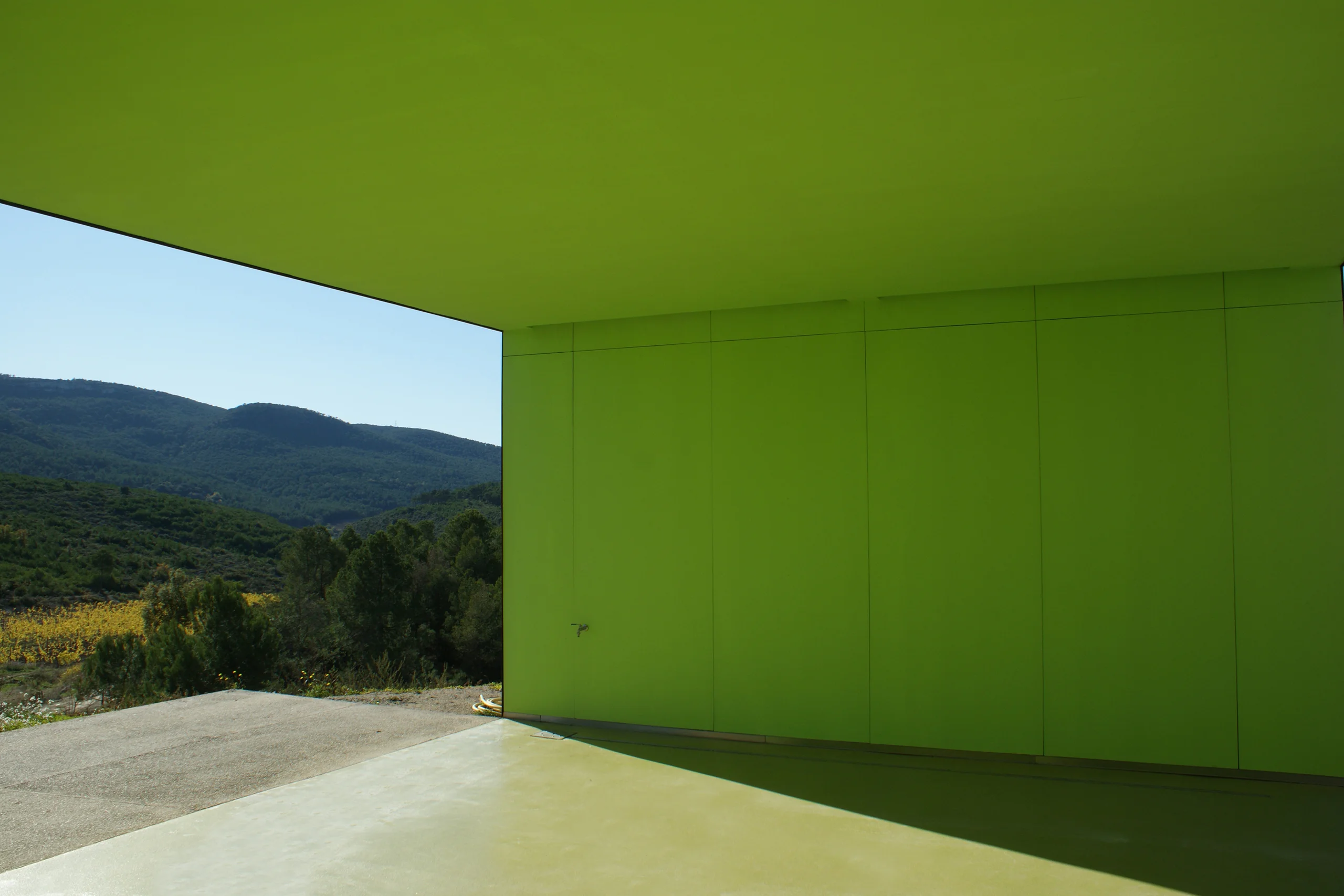 Project image
